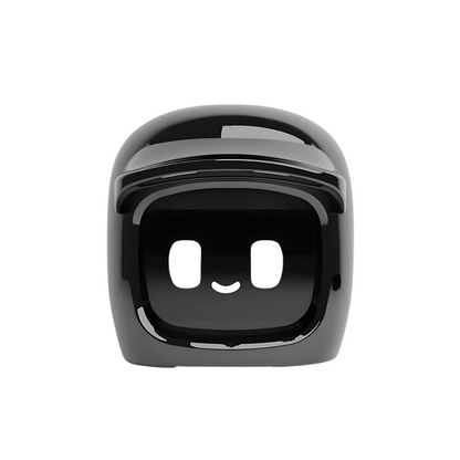 Car companion robot black color